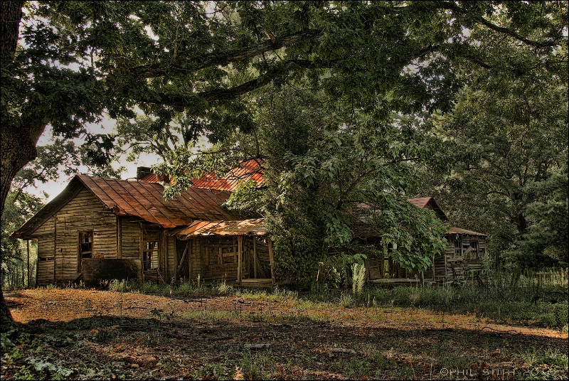 An Old Homeplace