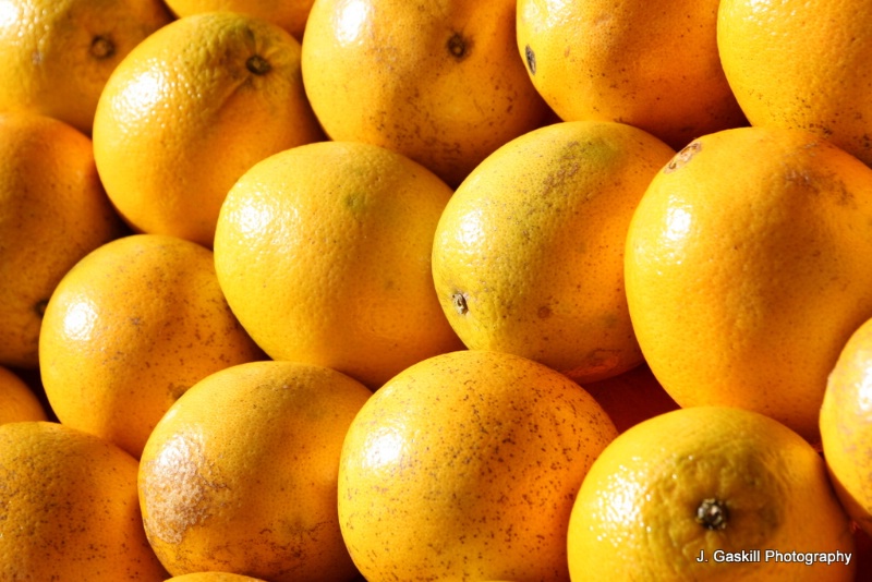 Sun-Kissed Oranges
