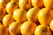 Sun-Kissed Orange...