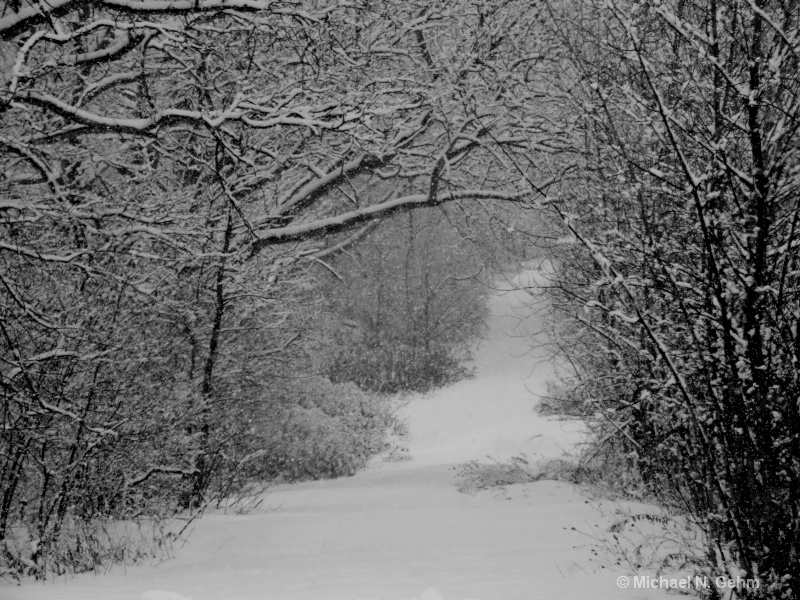 Winter's Path