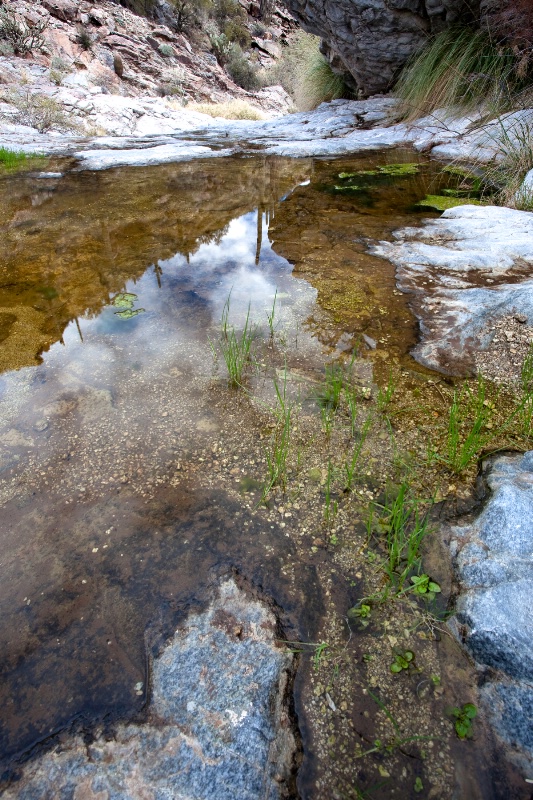 White Tank Reflection