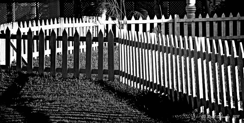 Fence in Shadows & Light