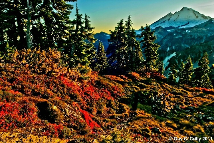 Evening at Mount Baker