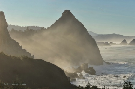 Sea Cliffs in the Mist