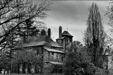 Rear View