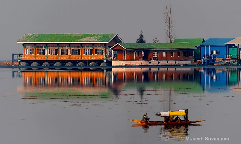Reflection of Colors and Dal Lake