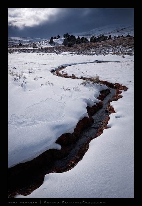 High Desert Winter