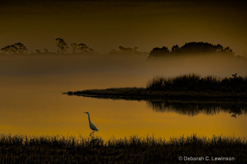 Dawn at Chincoteague - ID: 11476592 © Deborah C. Lewinson