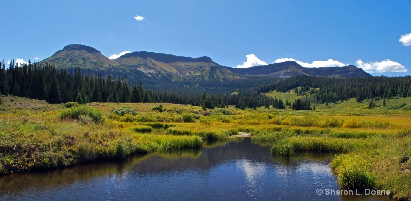 Flat Top Wilderness