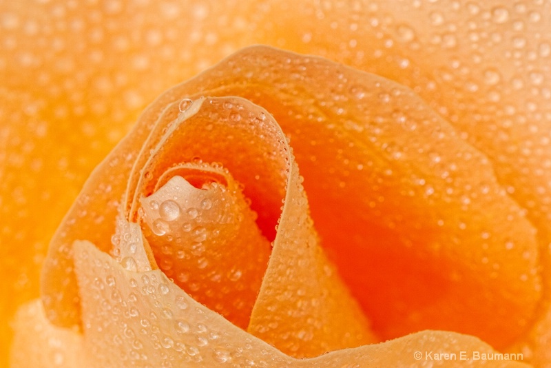 Droplets on Orange