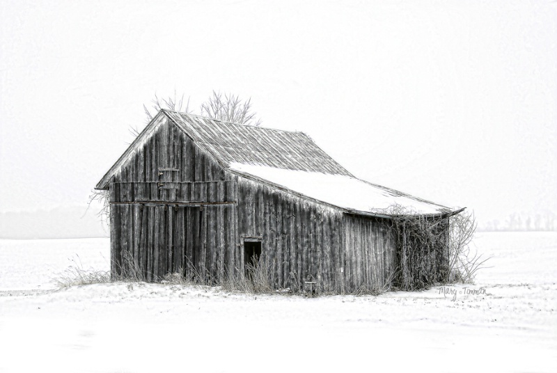 Sketch of Winter