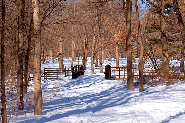 The Bridge at Herrick Lake - ID: 11491948 © Donald J. Comfort