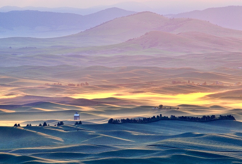 Palouse Dawn