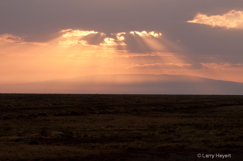Tanzania- Serengeti sunrise - ID: 11499974 © Larry Heyert