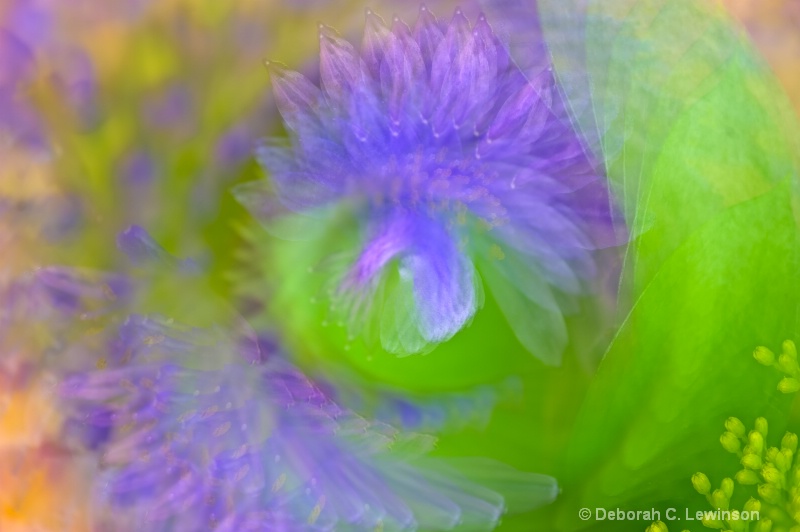 Floral Swirl - ID: 11503611 © Deborah C. Lewinson