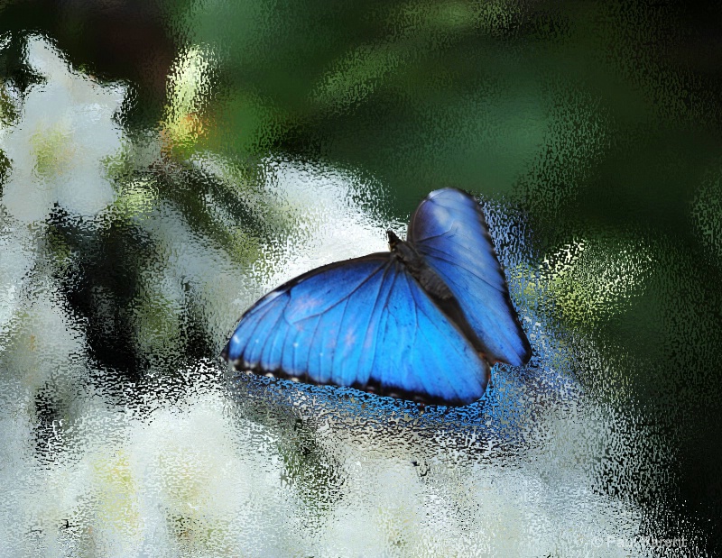 Blue Blur - ID: 11504869 © paul parent