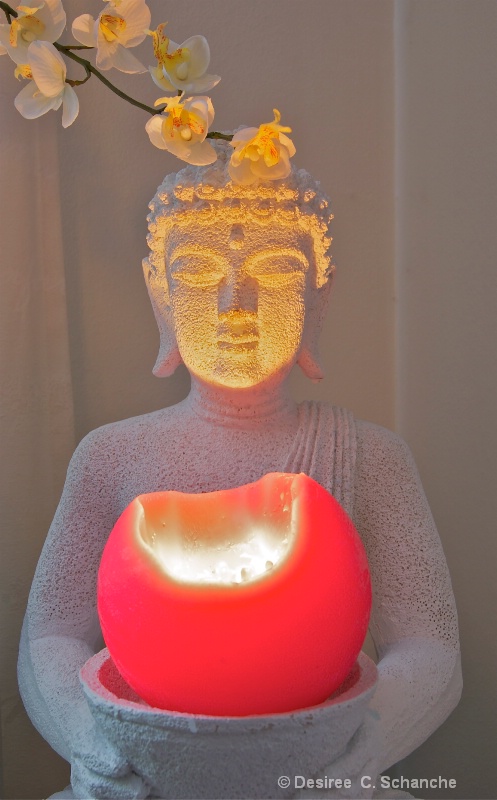 Buda light