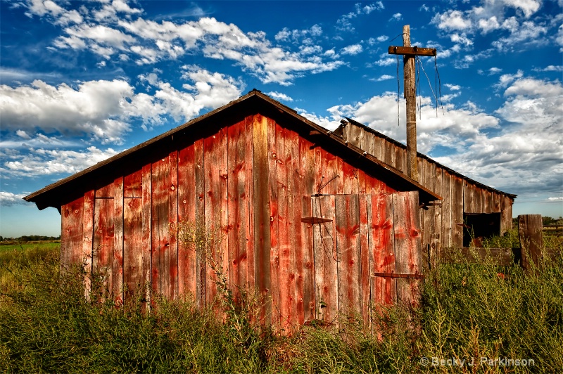 The Homestead 