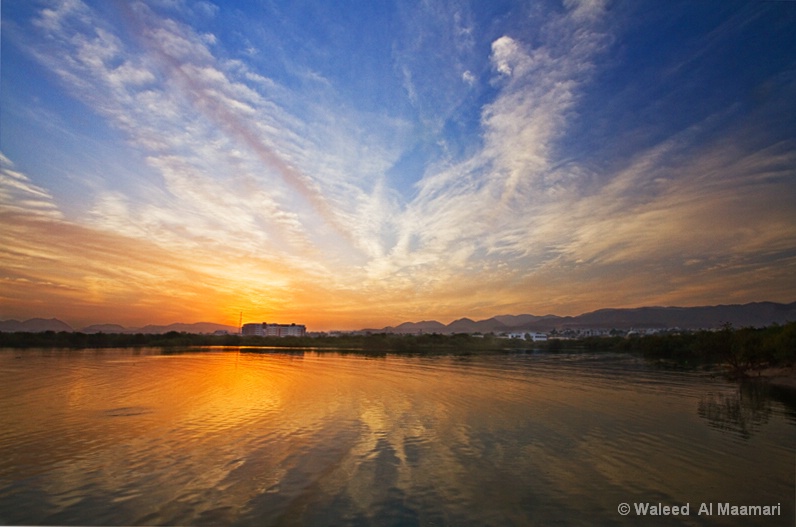 Nature reflection 2