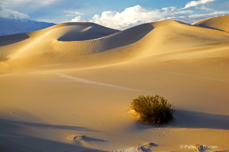 Dunes, Death Valley