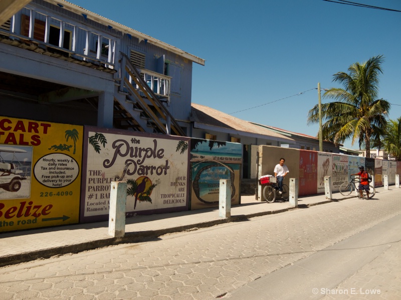 Signs, San Pedro, Ambergris Caye, Belize - ID: 11509296 © Sharon E. Lowe