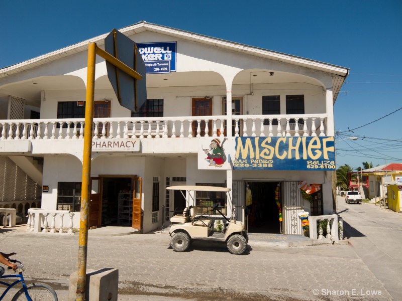 Mischief, San Pedro, Ambergris Caye, Belize - ID: 11509297 © Sharon E. Lowe