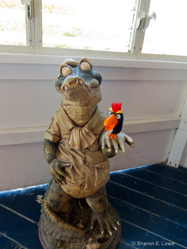Croc and Punky, Legends, Ambergris Caye, Belize