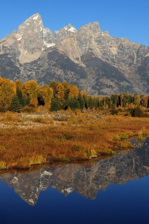 Teton Reflection in the fall