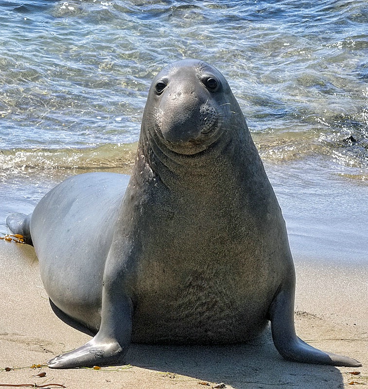 img2