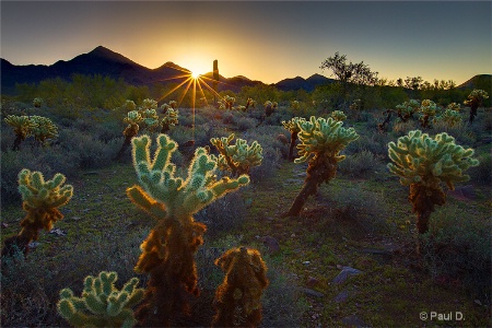 McDowell Mountain Sunrise