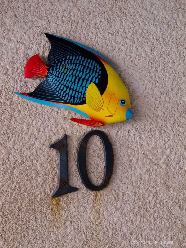 Number 10, Xanadu Resort, Ambergris Caye - ID: 11518170 © Sharon E. Lowe