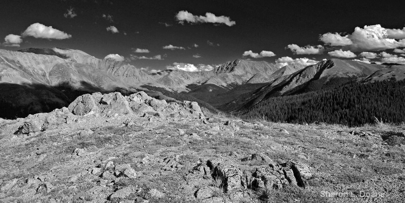 Top of the Rockies