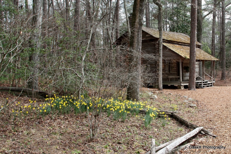 Spring Is Coming at the Cabin