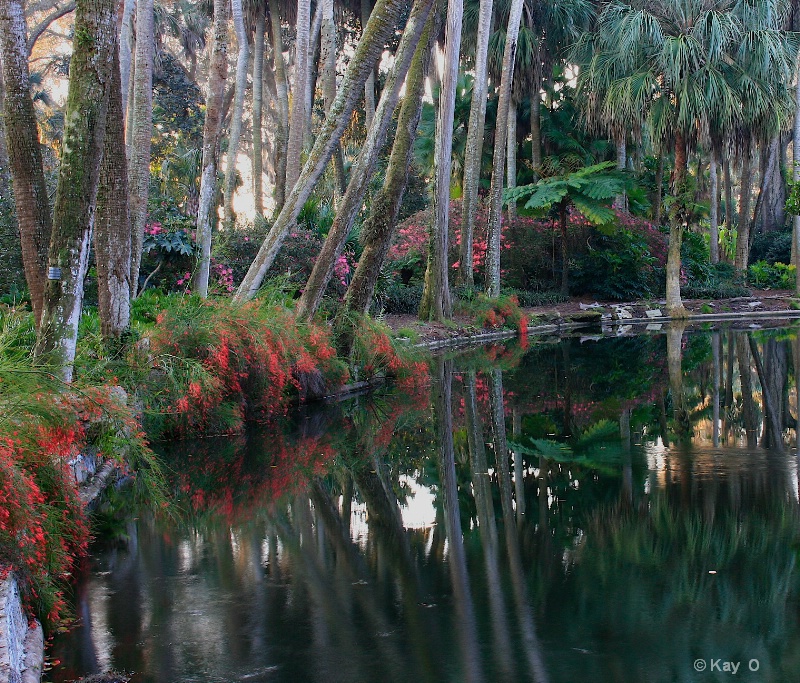 Morning Reflection