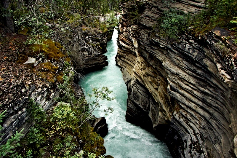 Canyon Below the Falls - ID: 11523528 © Denny E. Barnes