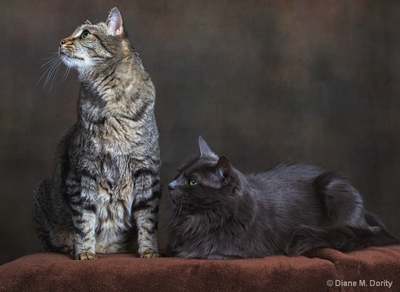 Just the two of us
