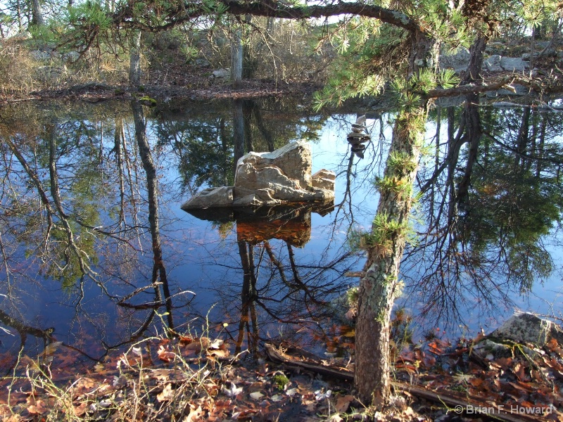  Pond on Last Hike of 2010 (NJ AT 6)