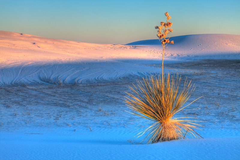 White Sands