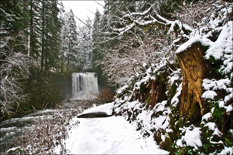 Winter at the Falls - ID: 11529375 © Denny E. Barnes
