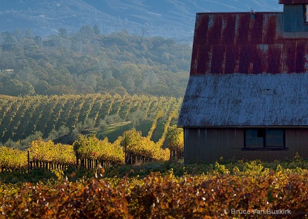 vineyard barn