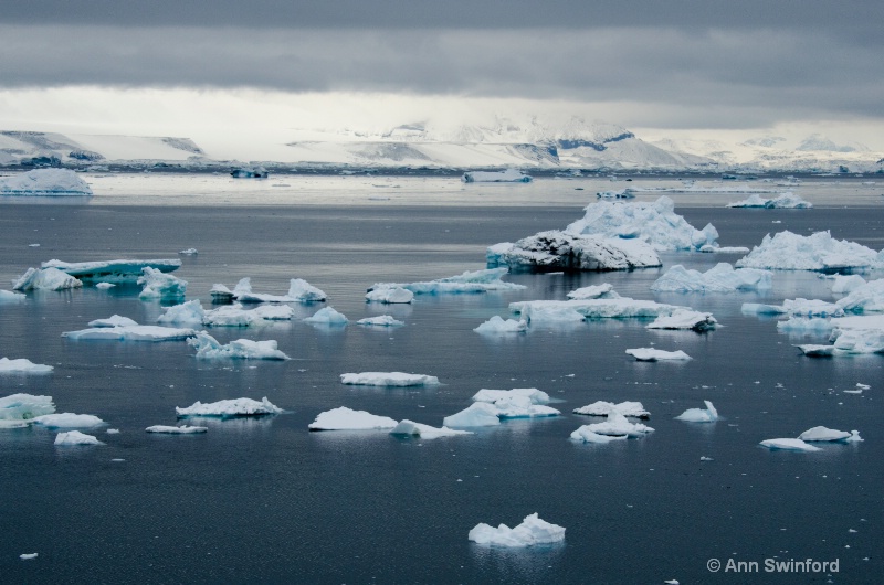 Iceberg Alley 3 - ID: 11529844 © Ann E. Swinford