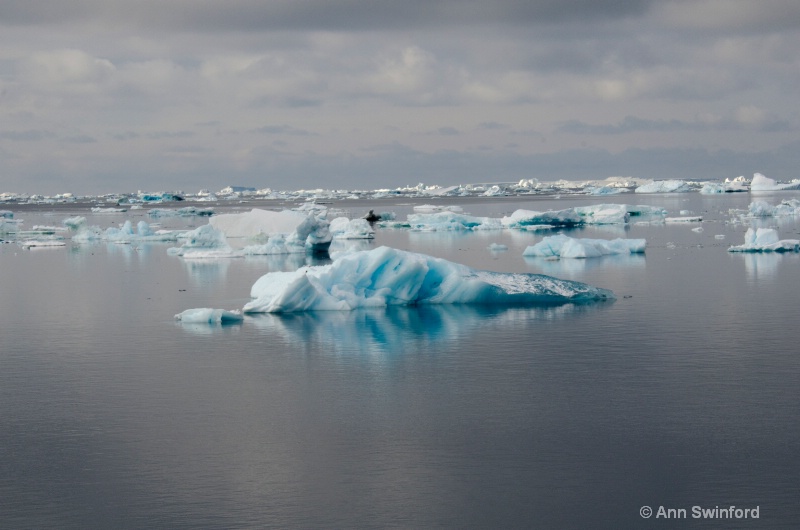 Iceberg Alley 2 - ID: 11529876 © Ann E. Swinford