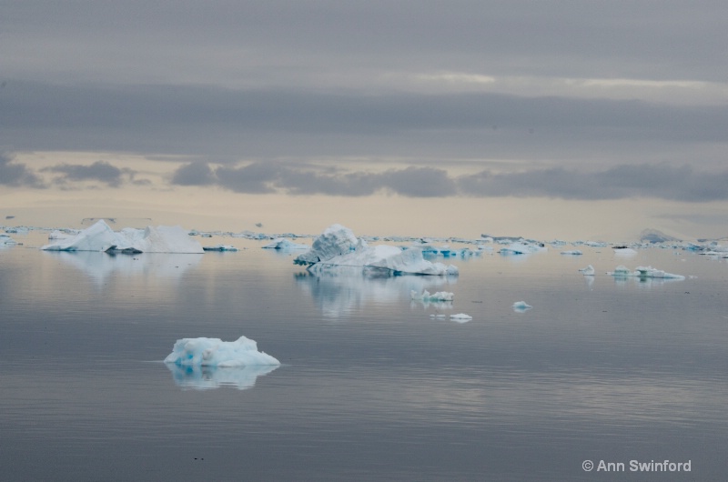 Iceberg Alley 1 - ID: 11529877 © Ann E. Swinford