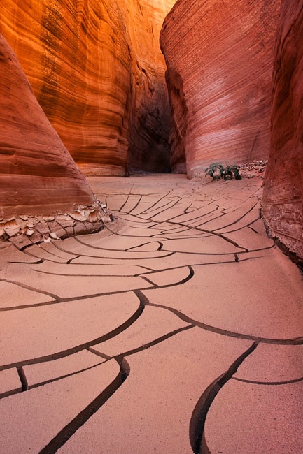 Paria Canyon