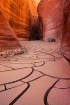 Paria Canyon