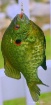 Caught "green...