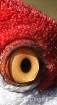 The Eye