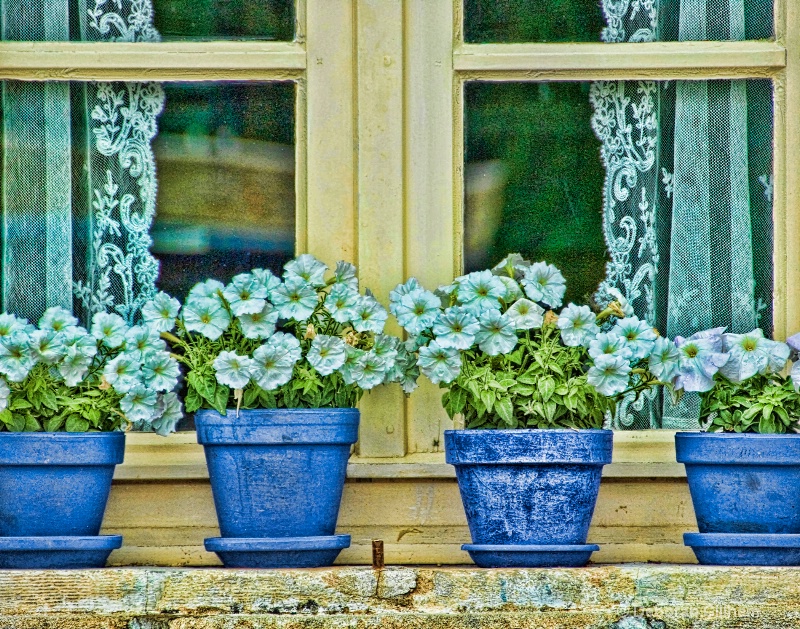 Blue Pots