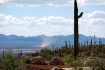 Sonoran Desert, T...