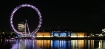 London Eye 2010